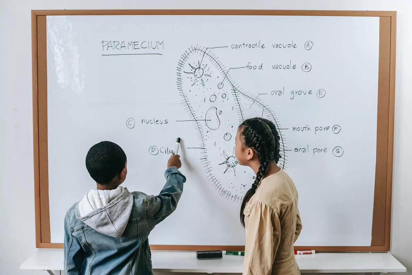 Baam - Building African American Minds