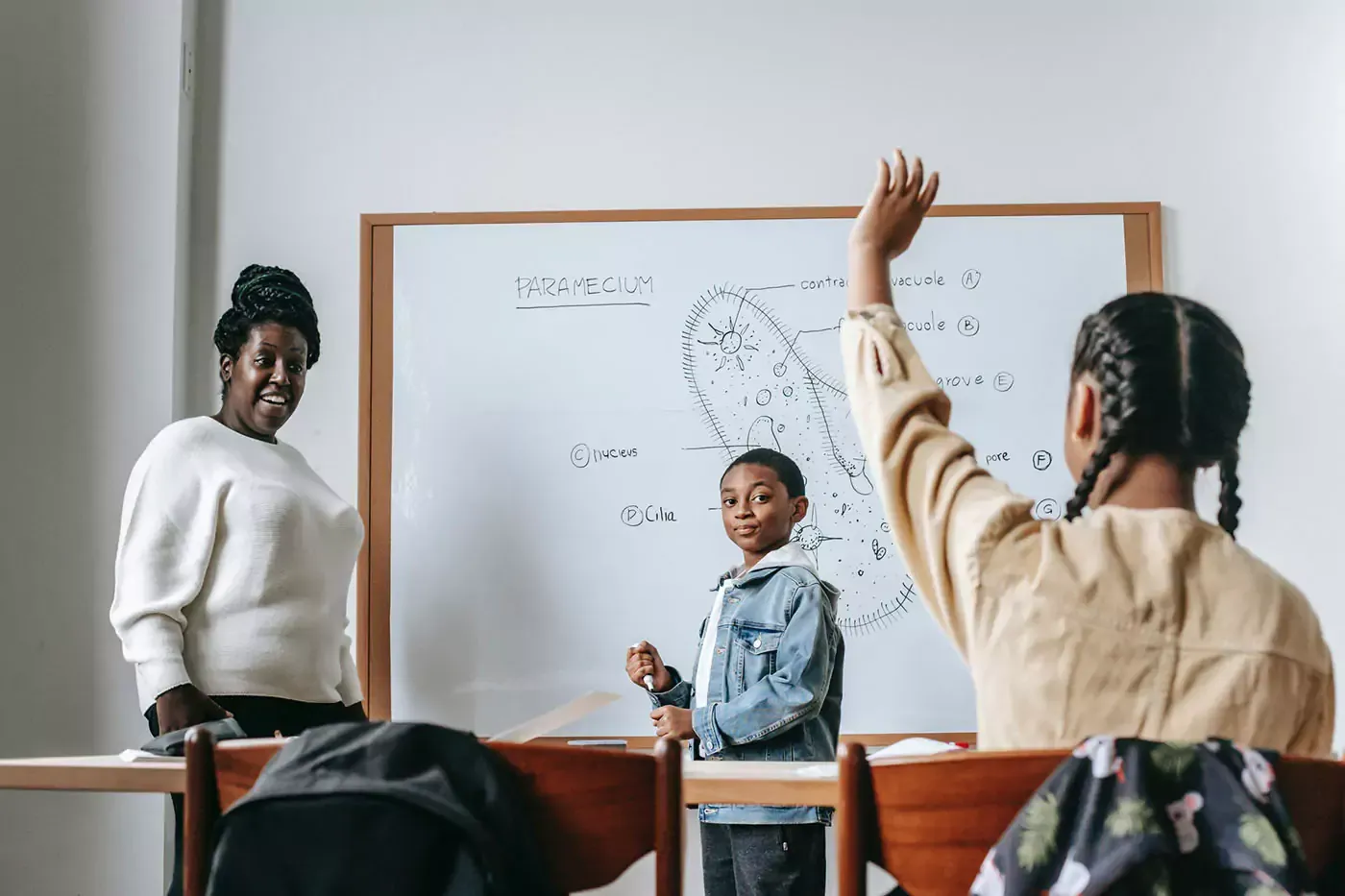 Baam - Building African American Minds